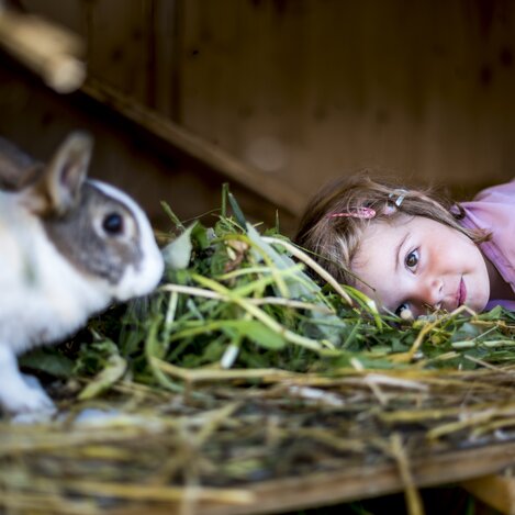 Wer wildert da im Hasenstall? :-) | © STG | Tom Lamm