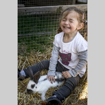 (Oster-) Hasen am Zehenthof in Semriach | © STG | Tom Lamm