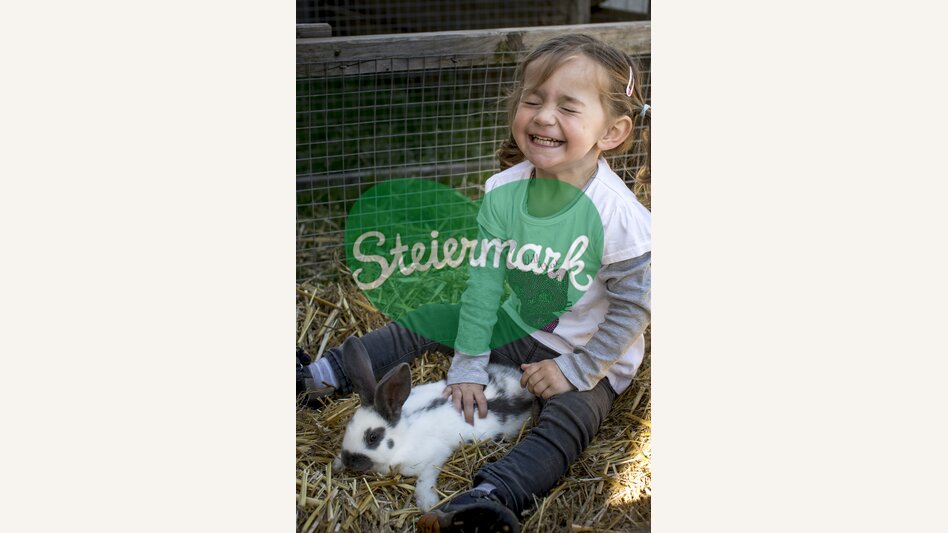 (Oster-) Hasen am Zehenthof in Semriach | © STG | Tom Lamm