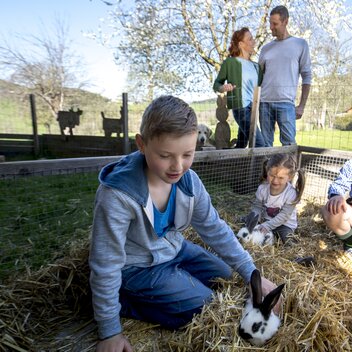 (Oster-) Hasen am Zehenthof in Semriach | © STG | Tom Lamm