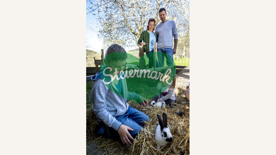 (Oster-) Hasen am Zehenthof in Semriach | © STG | Tom Lamm