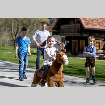 Kinder beim "Ausritt", Urlaub am Bauernhof, Zehenthof in Semriach | © STG | Tom Lamm