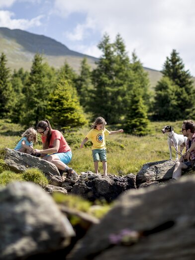 Family holidays with dog on the  Zirbitzkogel | © Steiermark Tourismus | Tom Lamm