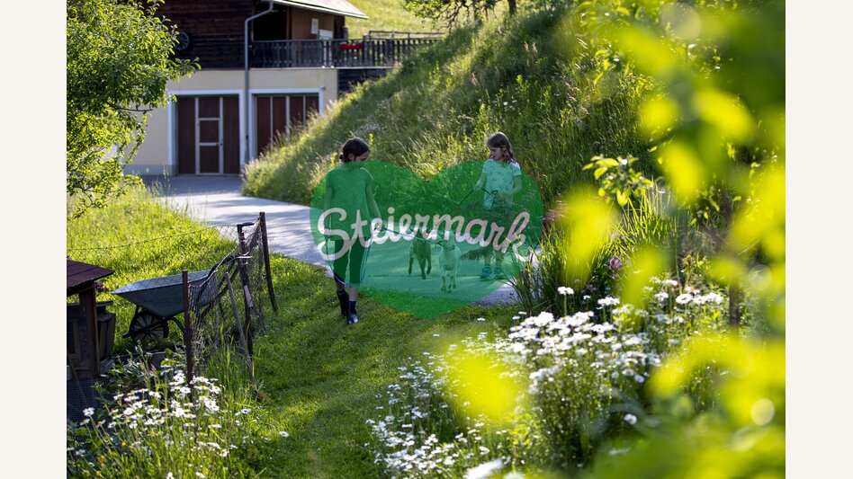 Am Bauernhof Mandl in Murau | © STG | Tom Lamm