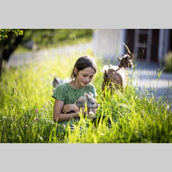 Am Bauernhof Mandl in Murau | © STG | Tom Lamm