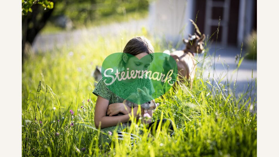 Am Bauernhof Mandl in Murau | © STG | Tom Lamm