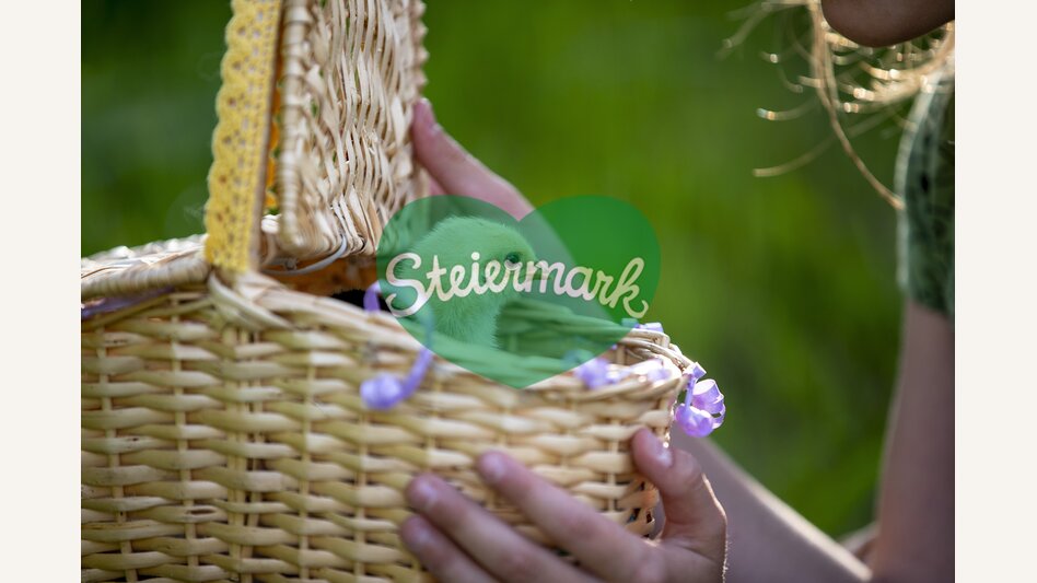 am Bauernhof Mandl in Murau | © STG | Tom Lamm