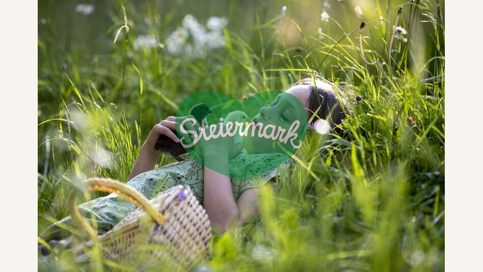 am Bauernhof Mandl in Murau | © STG | Tom Lamm