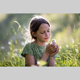 am Bauernhof Mandl in Murau | © STG | Tom Lamm