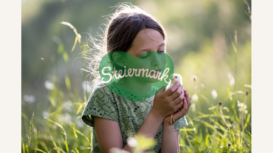 am Bauernhof Mandl in Murau | © STG | Tom Lamm