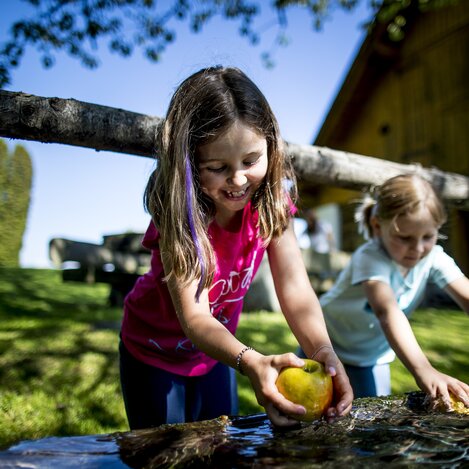 bei der Roatmoarhütte / Roatmoaralm in St. Margarethen im Murtal | © STG | Tom Lamm