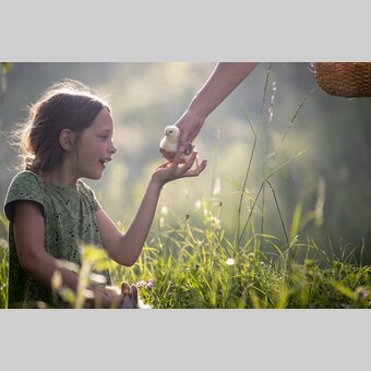 Am Bauernhof Mandl in Murau | © STG | Tom Lamm