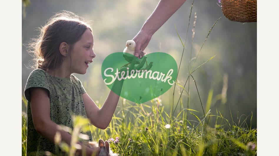 Am Bauernhof Mandl in Murau | © STG | Tom Lamm