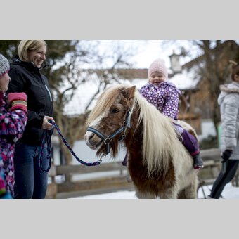 Ponyreiten im Winter | © STG | Tom Lamm