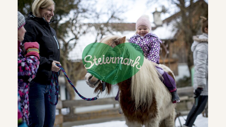 Ponyreiten im Winter | © STG | Tom Lamm