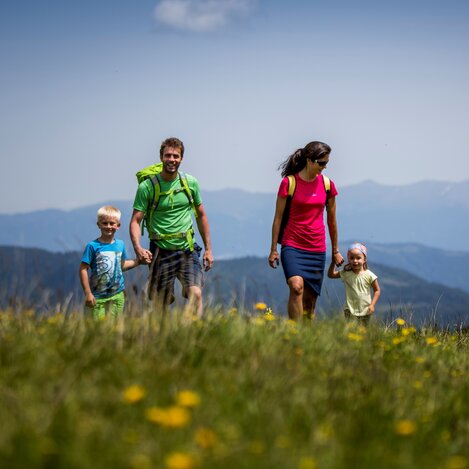 Frühlingswanderung auf der Frauenalpe | © STG | Tom Lamm