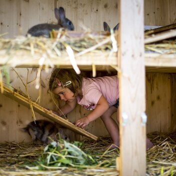 Wer wildert da im Hasenstall? :-) | © STG | Tom Lamm