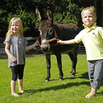 Tiere hautnah erleben: Ferien in der Steiermark | © STG | Herbert Raffalt