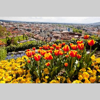 Blick vom Schlossberg auf die Grazer Altstadt | © STG | Tom Lamm