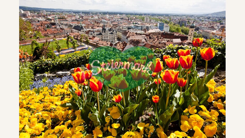 Blick vom Schlossberg auf die Grazer Altstadt | © STG | Tom Lamm