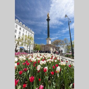 Mariensäule in Graz | © STG | Harry Schiffer