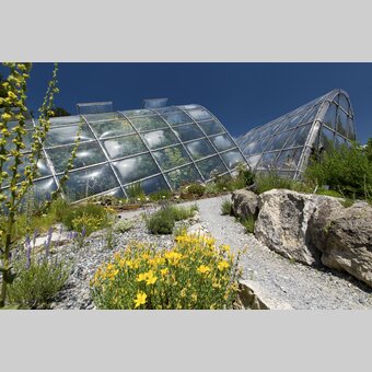 Botanischer Garten in Graz | © Graz Tourismus | Harry Schiffer