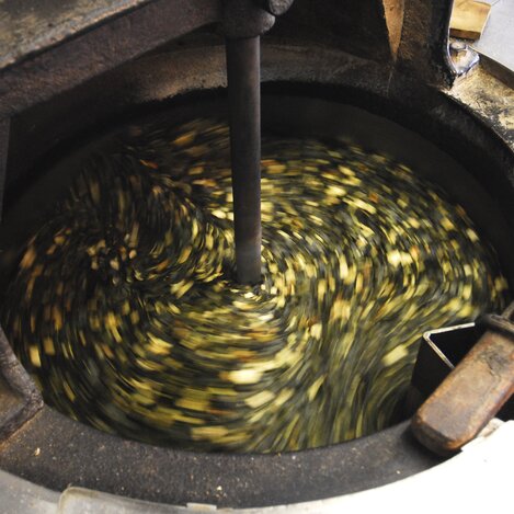 Kürbiskerne vor der Pressung zum Kernöl | © STG | Gery Wolf