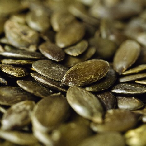 Kürbiskerne | © STG | Atelier Jungwirth, Christian Jungwirth