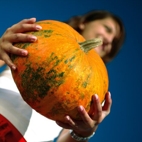 © STG | Harry Schiffer