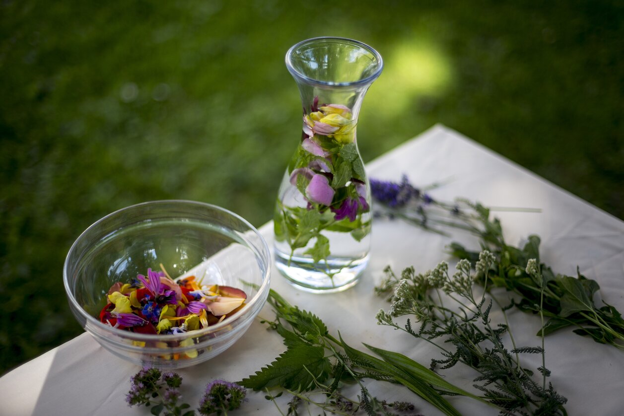 Essbare Naturschätze | © STG | Tom Lamm