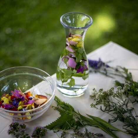 Essbare Naturschätze | © STG | Tom Lamm