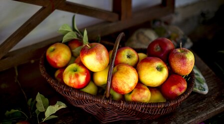 der Herbst im Korb | © STG | Tom Lamm
