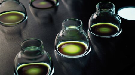 Kürbiskernöl: Das grüne Gold der Steiermark | © STG | pixelmaker.at