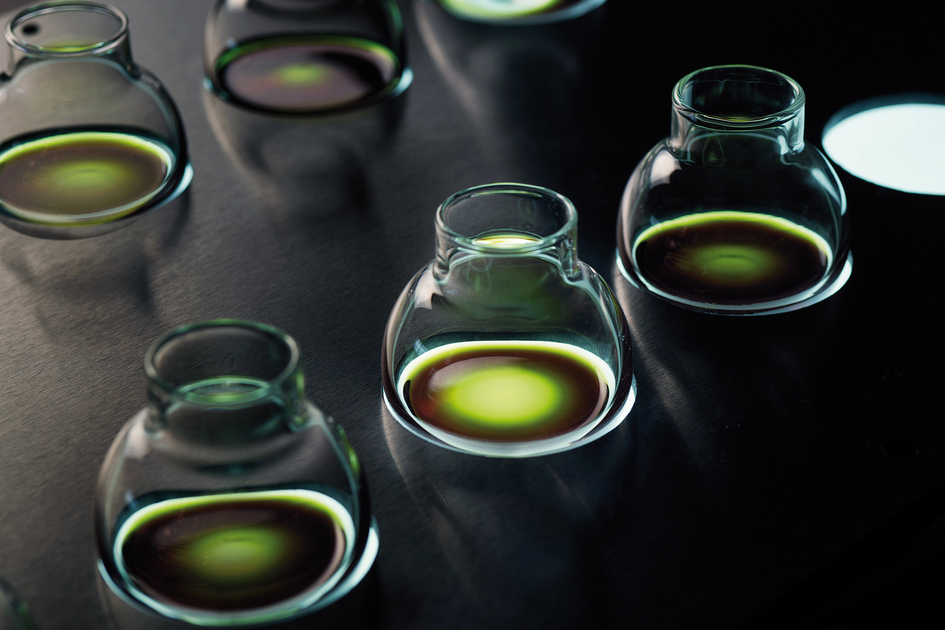 typical Styrian pumpkin seed oil | © Steiermark Tourismus | pixelmaker.at