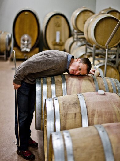 Winegrower Roland Tauss at work | © Steiermark Tourismus | Tom Lamm