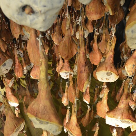 In der Vulcano-Schinkenmanufaktur | © STG | Gery Wolf