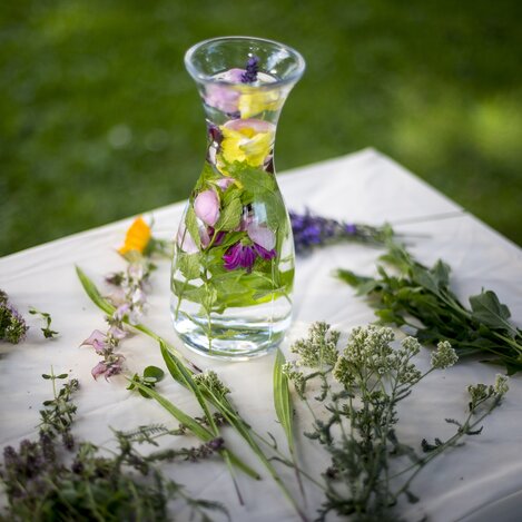 Essbare Naturschätze | © STG | Tom Lamm