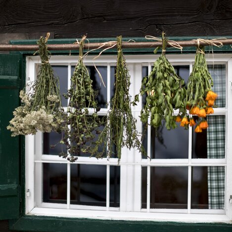 Kräuter trocknen | © STG | Tom Lamm