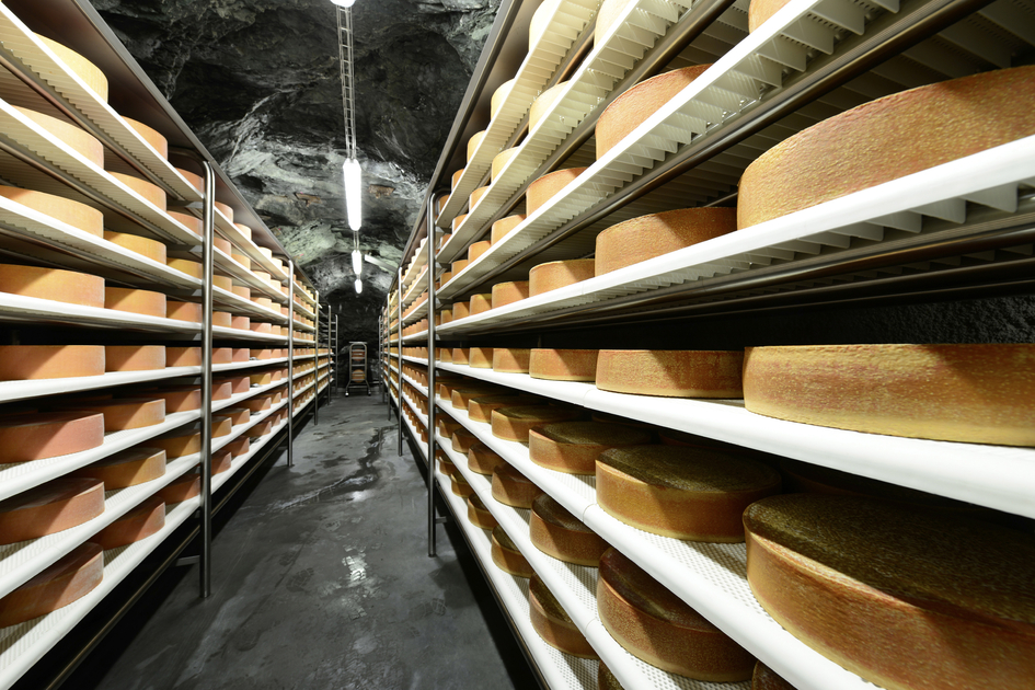 Arzberger cheese | © Steiermark Tourismus | Gery Wolf