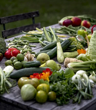 The culinary side of Styria: plenty and a large diversity | © Steiermark Tourismus | Tom Lamm