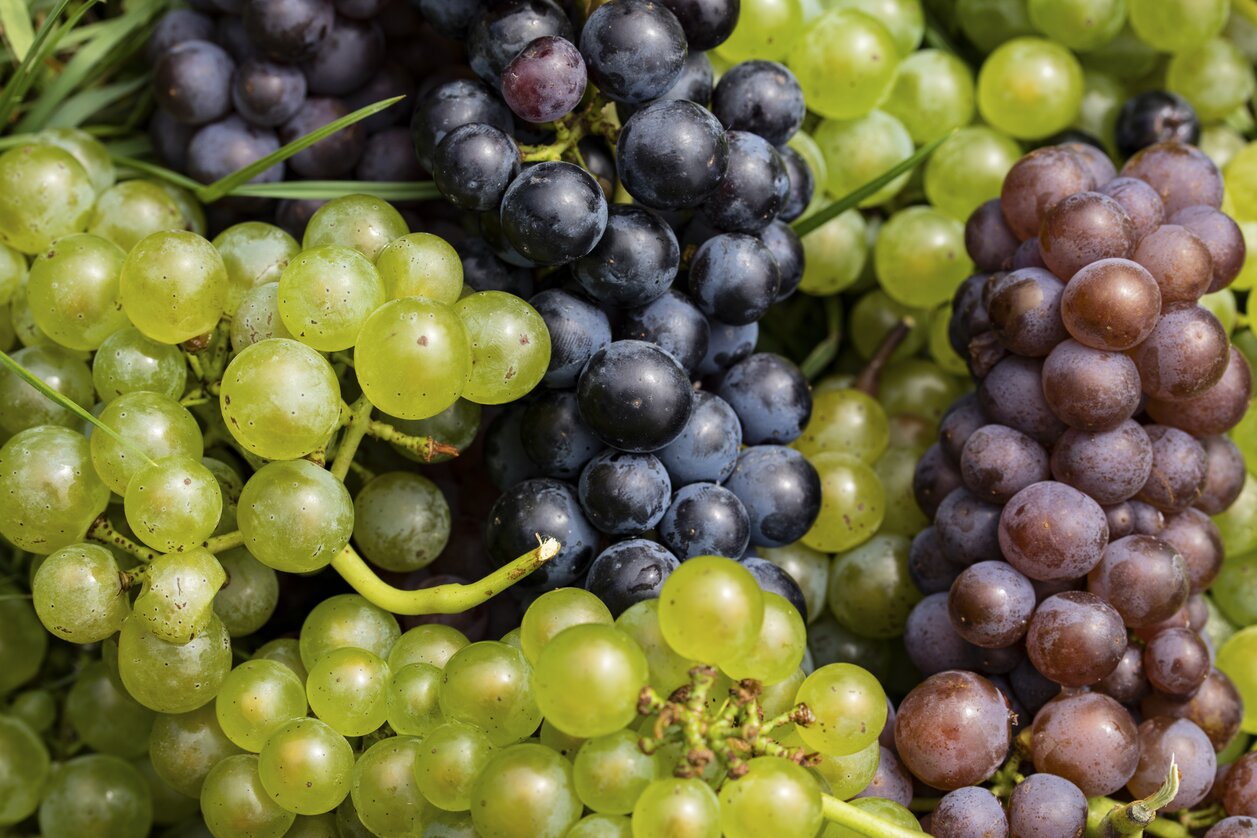 Steiermark: Heilkraft aus der Natur | © STG | Punkt & Komma