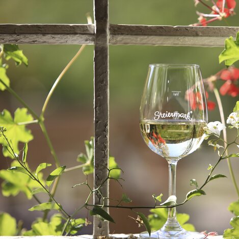 © STG | Harry Schiffer