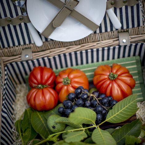 Picknickkorb | © STG | Tom Lamm