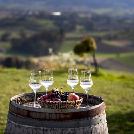 beim Weingut Harkamp, St. Nikolai im Sausal | © STG | Tom Lamm