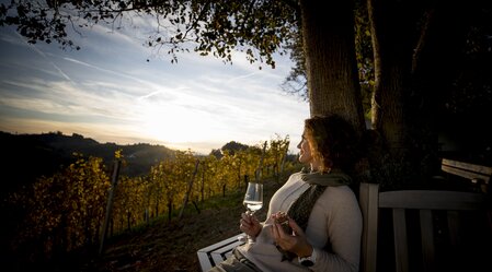 A glass of wine at the Buschenschank Adam am Schererkogl, Gamlitz | © Steiermark Tourismus | Tom Lamm