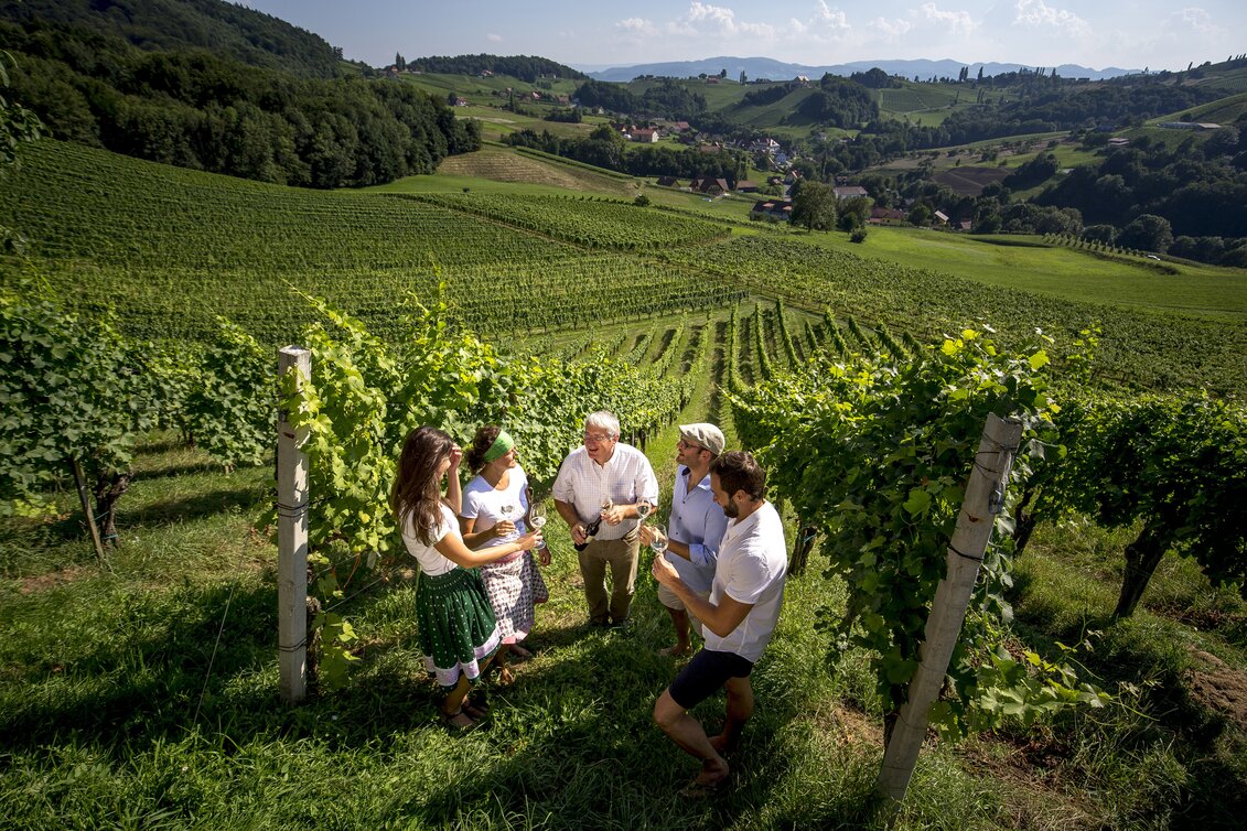 Weinverkostung mit dem Weinbauern Alois Gross im Weingarten, Ratsch a.d. Weinstraße  | © STG | Tom Lamm