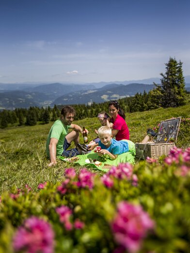 Picnic in spring | © Steiermark Tourismus | Tom Lamm