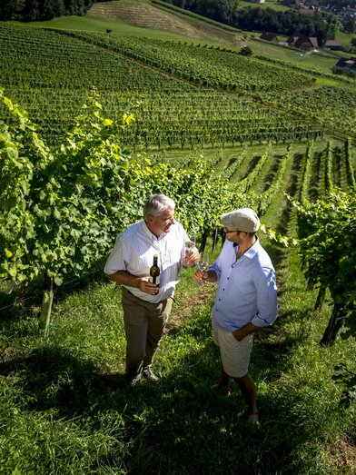 Weinverkostung mit dem Weinbauern Alois Gross im Weingarten, Ratsch a.d. Weinstraße  | © STG | Tom Lamm