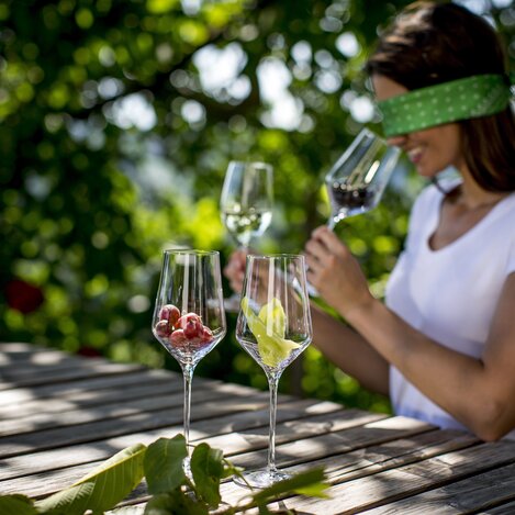Weine blind verkosten: Wonach schmeckt steirischer Wein?  | © STG | Tom Lamm