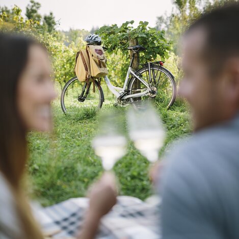 Radl-Picknick in St. Ruprecht an der Raab | ©  Oststeiermark Tourismus | Die Mosbacher's
